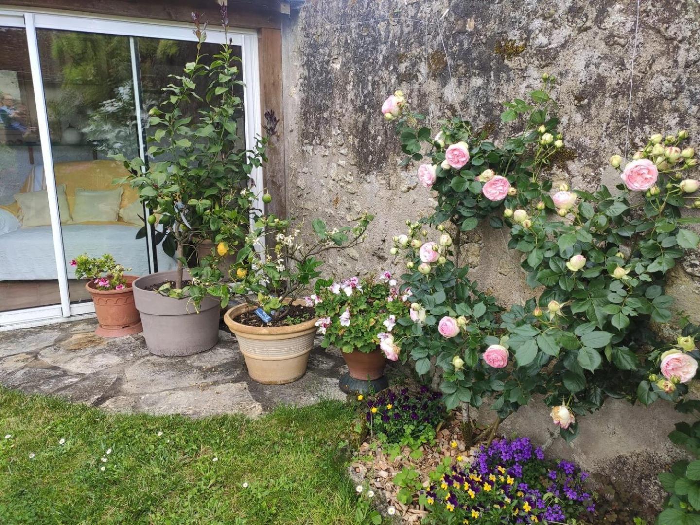 Le Relais De L'Ormeau - Charmant Gite Pour 4 Pers. Lussault-sur-Loire Exteriör bild